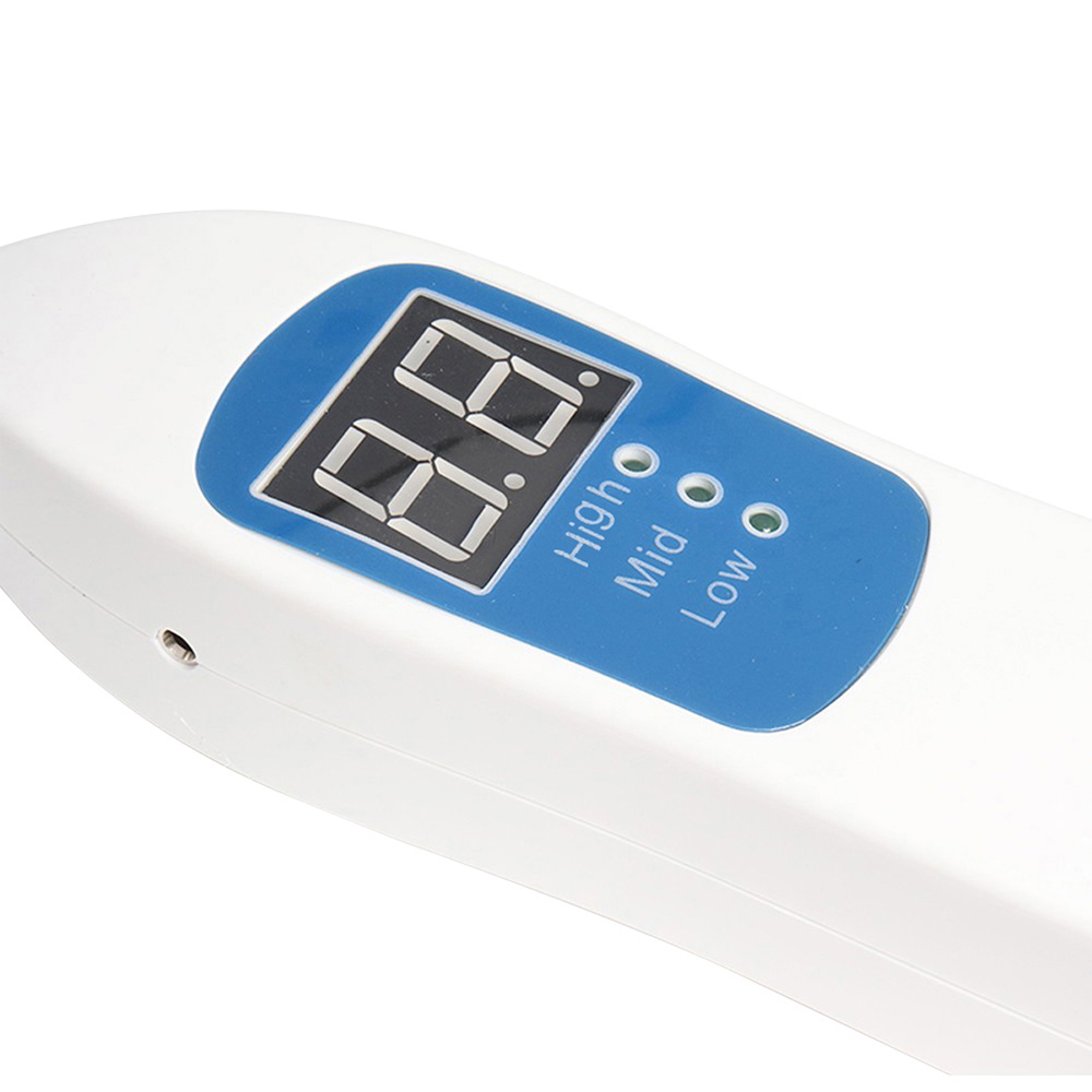 Nuovo Dentale Endodonzia Pulpa - Electronics Quiz recensione e prezzo