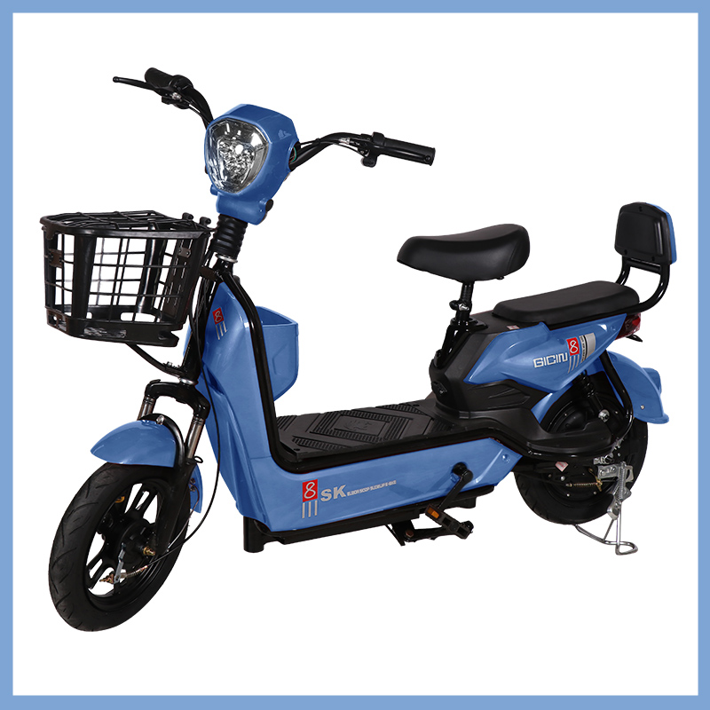 YTYIN Bicicletta Elettrica da  - Electronics & Tech Gadgets recensione e prezzo